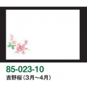 吉野桜（3月～4月） 高級 尺3和紙マット（無蛍光雲竜和紙）【100枚入】