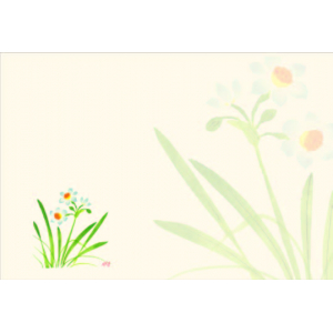 スイセン（1月～3月）四季の花シリーズ 尺3紙マット（上質紙）【100枚入】
