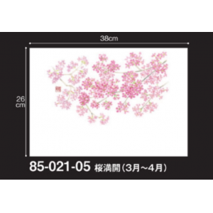 桜満開（3月～4月）尺3和紙マット（雲龍和紙）【100枚入】