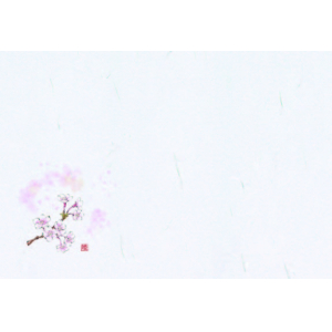 桜（3月～4月）描き下ろしデザイン 尺3紙マット（上質紙）【100枚入】