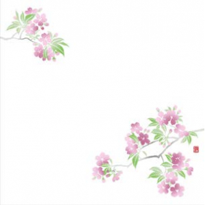 耐油雲流彩花天紙5寸 【100枚】 桜（2月～4月）