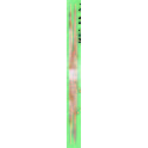 杉卵中箸（白帯） 26cm 【1,000膳入】