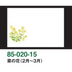 菜の花（2月～3月）尺3和紙マット（雲龍和紙）【100枚入】