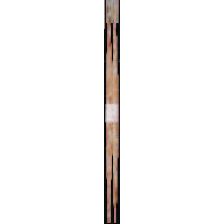 杉卵中箸（白帯） 24cm 【1,000膳入】